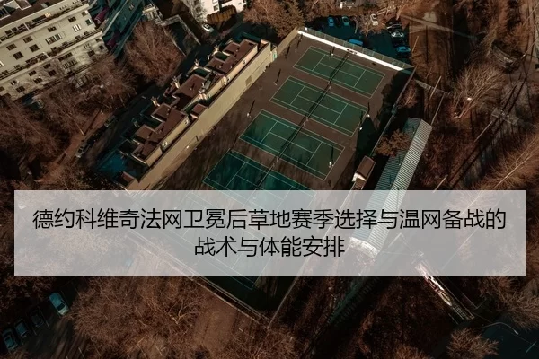 de-yue-ke-wei-qi-fa-wang-wei-mian-hou-cao-di-sai-ji-xuan-ze-yu-wen-wang-bei-zhan-de-zhan-shu-yu-ti-neng-an-pai-2-201.jpg